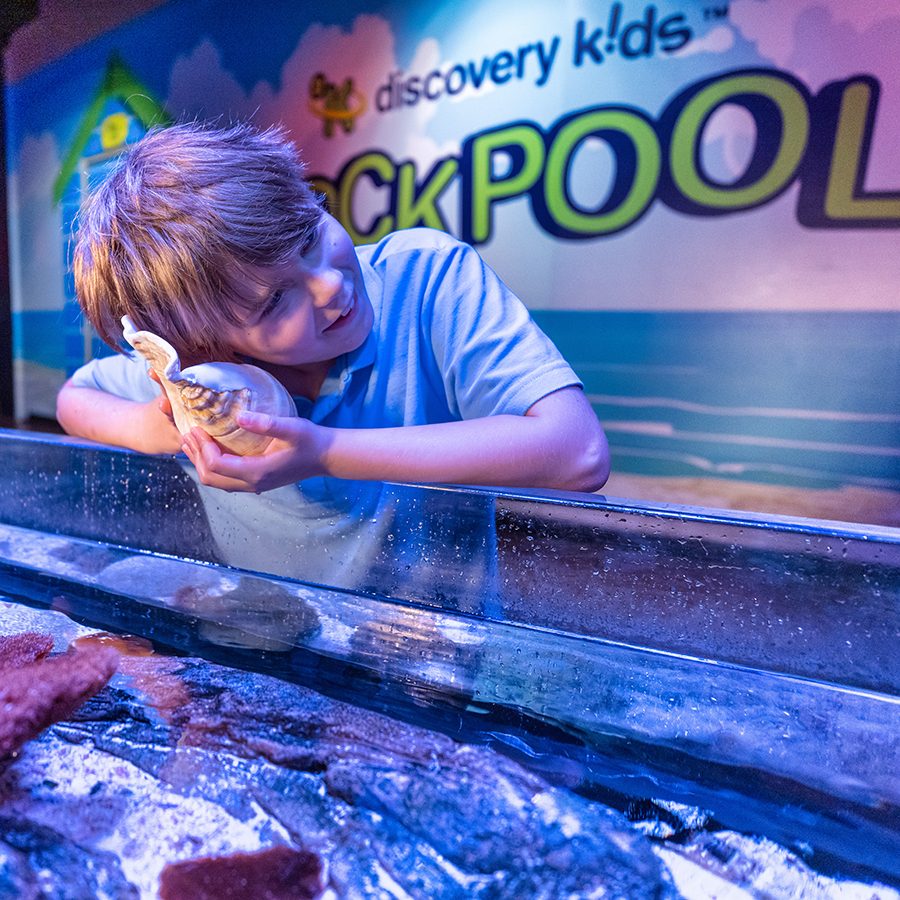 Sea Life Aquarium